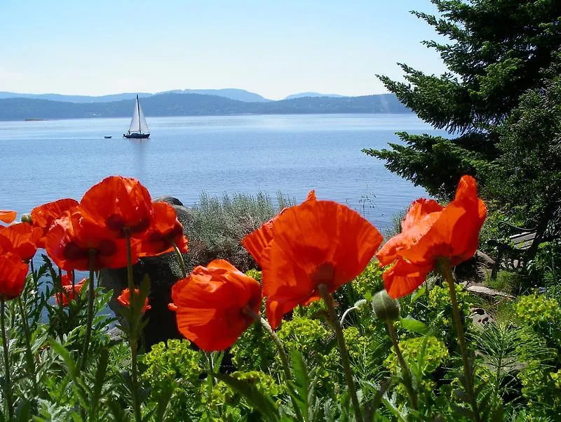 Serenity By The Sea Retreats Montague Harbour Bed & Breakfast